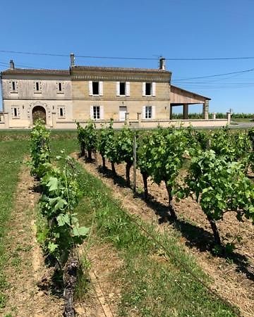 Вілла Gite Du Chateau La Rose Des Vents Puisseguin Екстер'єр фото