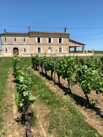 Вілла Gite Du Chateau La Rose Des Vents Puisseguin Екстер'єр фото